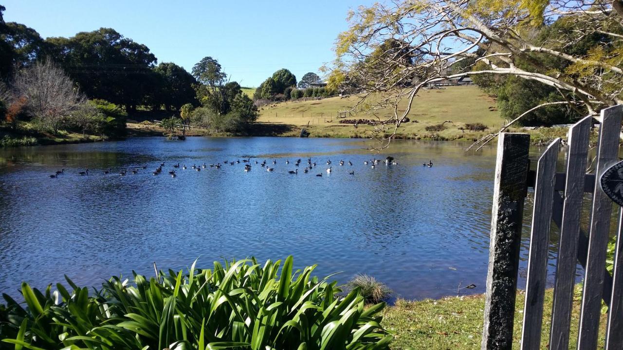 Maleny Homestead & Cottage Kültér fotó
